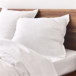 Lot de 2 taies d'oreiller en percale de coton - blanc 65x65cmFLORE