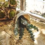 Botte d'eucalyptus préservée 55cm - vertFLORALIE