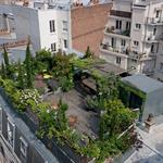 Terrasse sur les toits