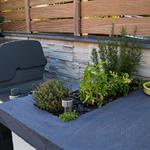 L'herbier dans la cuisine d'été