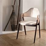 Lot de 2 chaise en tissu et effet bois foncé avec accoudoirs - beige alpilles 