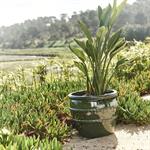 Cache-pot en terre cuite émaillée D37cm - vertLUCIA