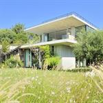 Pelouse et herbes hautes