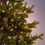 Guirlande lumineuse à gouttes L11m - jaunePALMEIRA