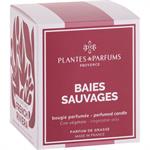 Bougie parfumée senteur baies sauvages 180gFRENCH RIVIERA