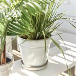 Cache-pot et sa coupelle en céramique D23cm - blanc casséCLINT