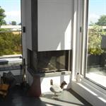 Cheminée dans l'angle