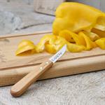 Couteau bec d'oiseau en inox et bois d'olivier 15