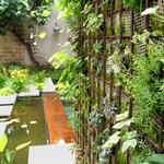 Jardin moderne paysagé mélangeant les éléments végétaux