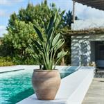 Pot texturé en terre cuite D31