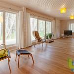 Salon moderne aux revêtements en bois clair