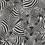 'Zèbres' de Jean-Charles de Castelbajac