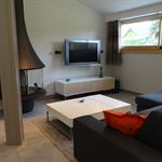 Salon moderne avec poêle à bois