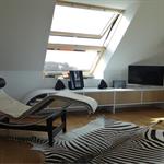 Chaise longue design et tapis peau de bête ajoutent du style au coin télé 