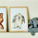 Image aquarelle encadrée Lapin bélier - A4LAPIN BELIER