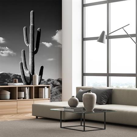 Papier peint jungle cactus desert noir et blanc 156x270cm