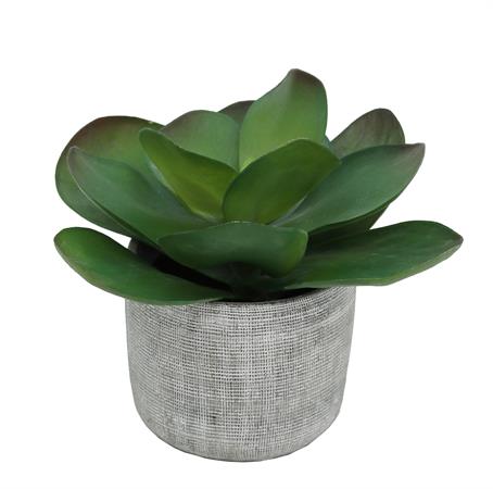 Succulente artificielle kalanchoe lucia 24cm