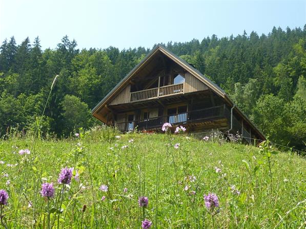 Image Vue du chalet depuis l'alpage Charpentes PIERROZ