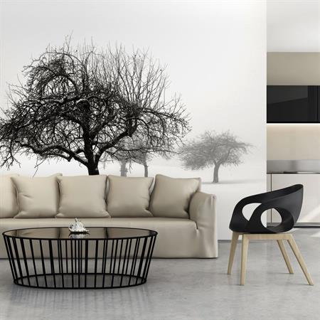 Papier peint panoramique arbres hiver 400x309 cm