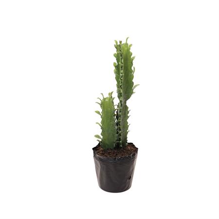 Cactus artificielle en pot vert H48