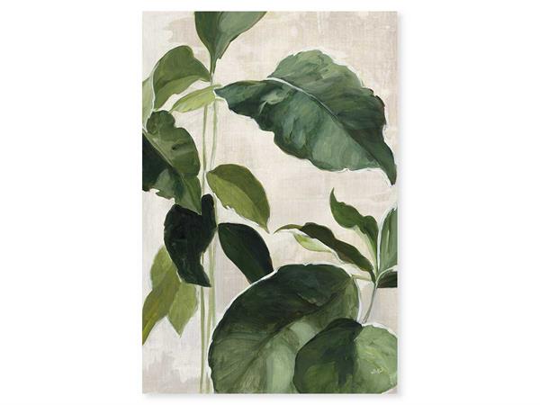 Tableau Aquarelle botanique imprimé sur toile 60x90 cm