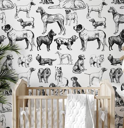 Papier Peint Chiens
