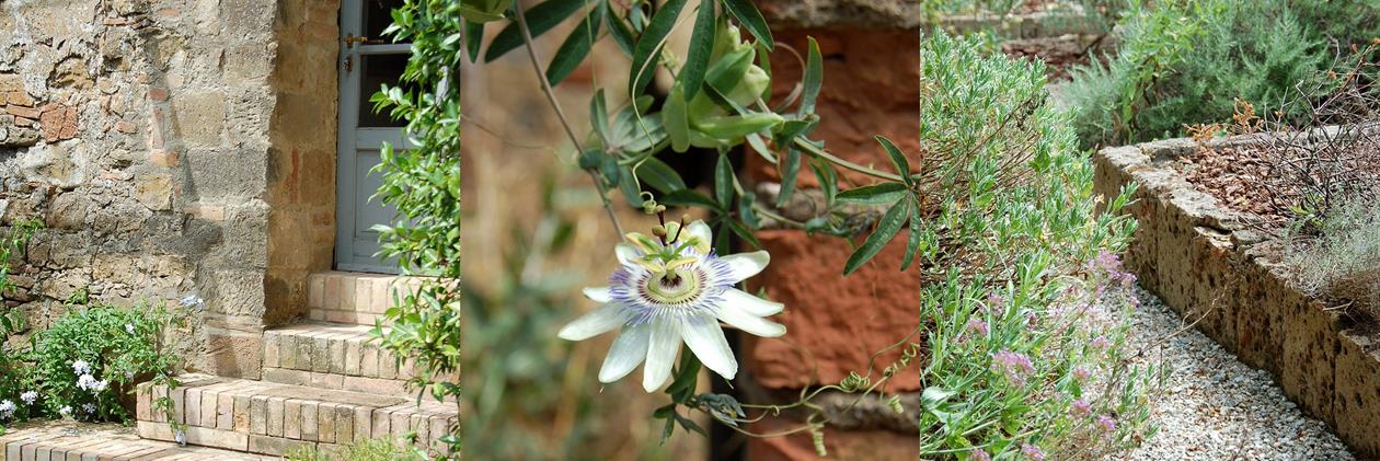 Mon Jardin en ligne sur Domozoom